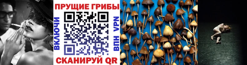 Галлюциногенные грибы Magic Shrooms  Купить  Пролетарск 