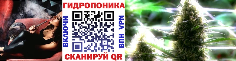 Купить где  Пролетарск  Конопля конопля 